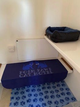  Vet bedding on  the floor with different levels and bed 